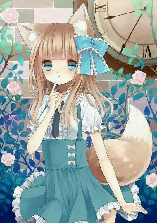 星轨观测员